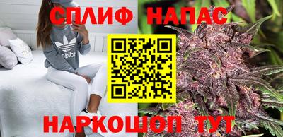 СК Жуковский
