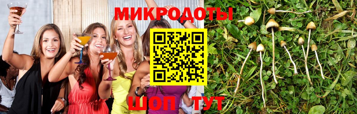 Галлюциногенные грибы MAGIC MUSHROOMS  Нижнеудинск 