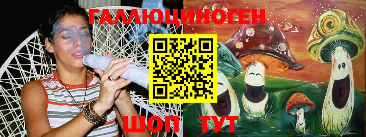 Псилоцибиновые грибы Cubensis  Вход с VPN  Нижнеудинск 